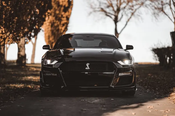 Casino777 Casino Aplicación Android/iOS